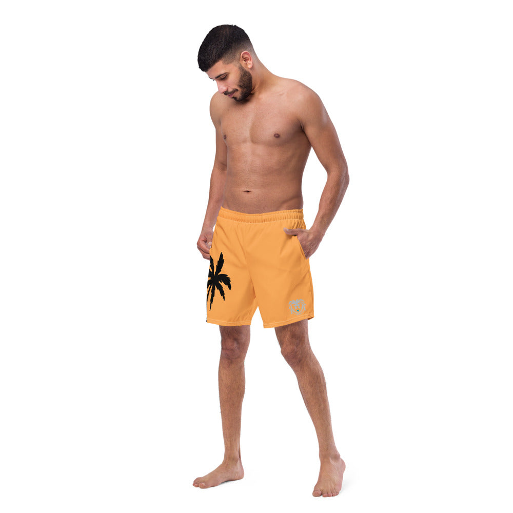Swimwear - Men's Swim Trunks