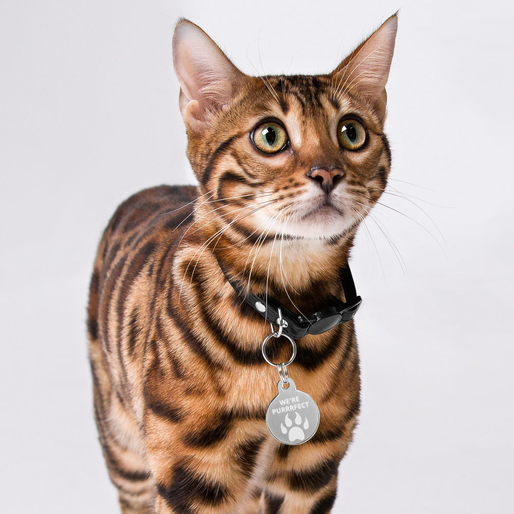 Engraved - Tag "We're Purrrfect"