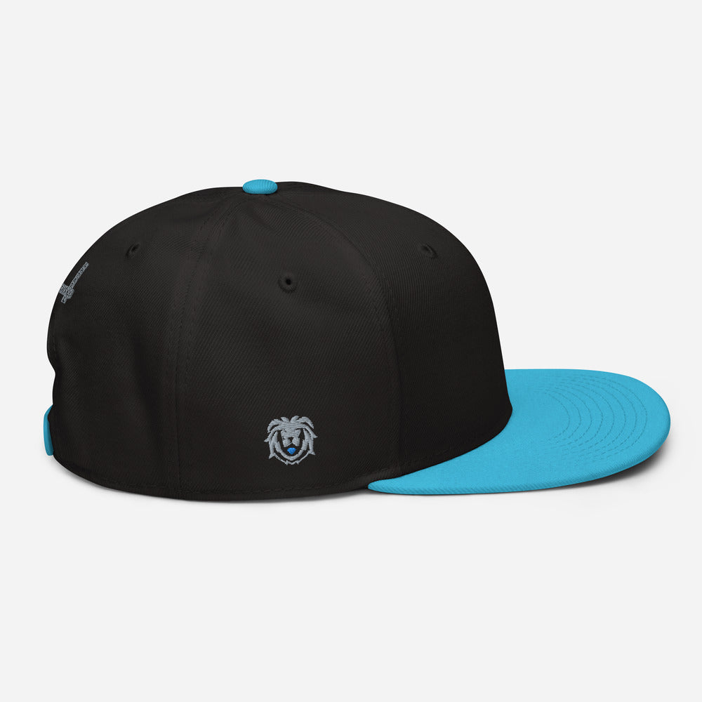 Hat - Modern Snapback