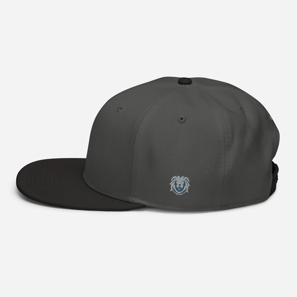 Hat - Modern Snapback