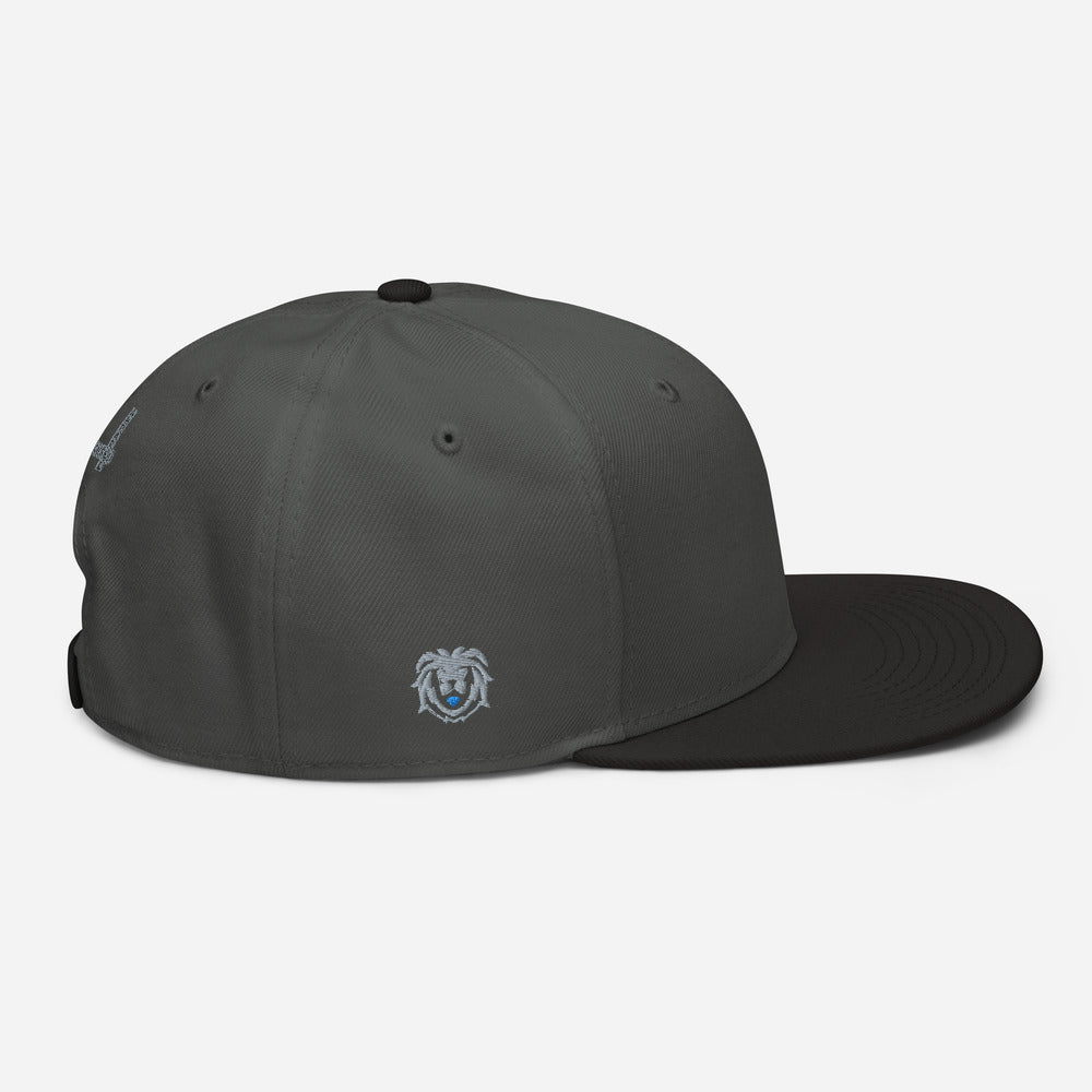 Hat - Modern Snapback
