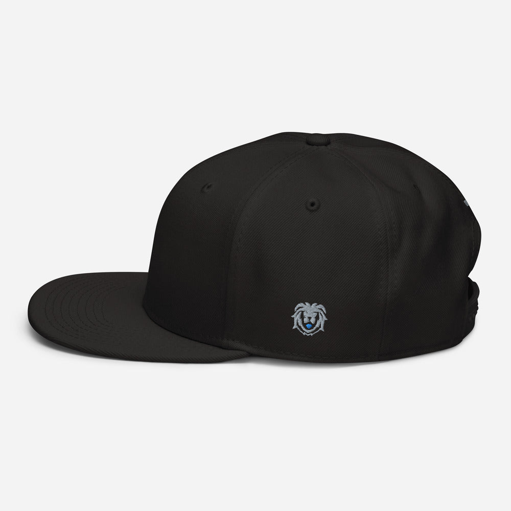 Hat - Modern Snapback