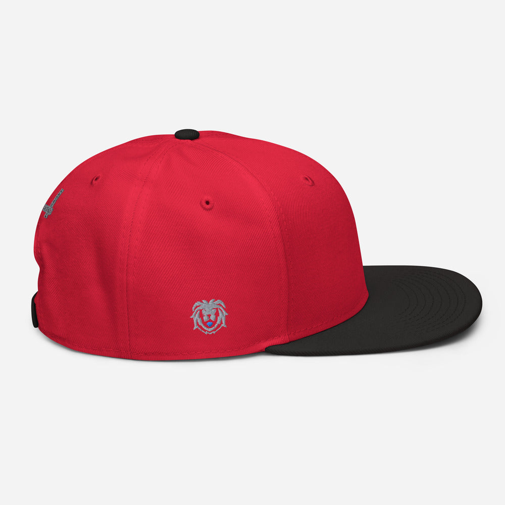 Hat - Modern Snapback