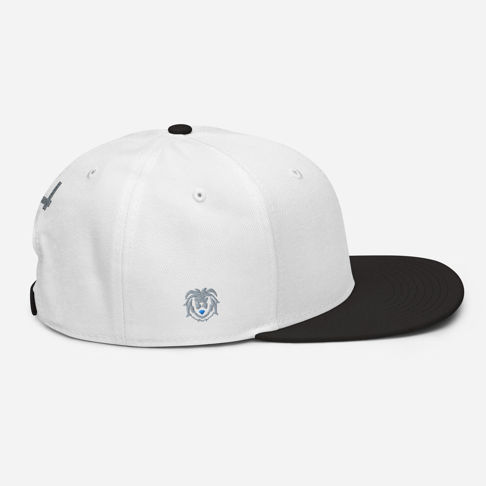 Hat - Modern Snapback