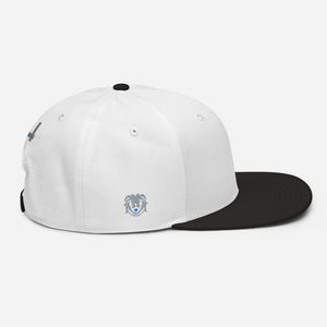 Hat - Modern Snapback