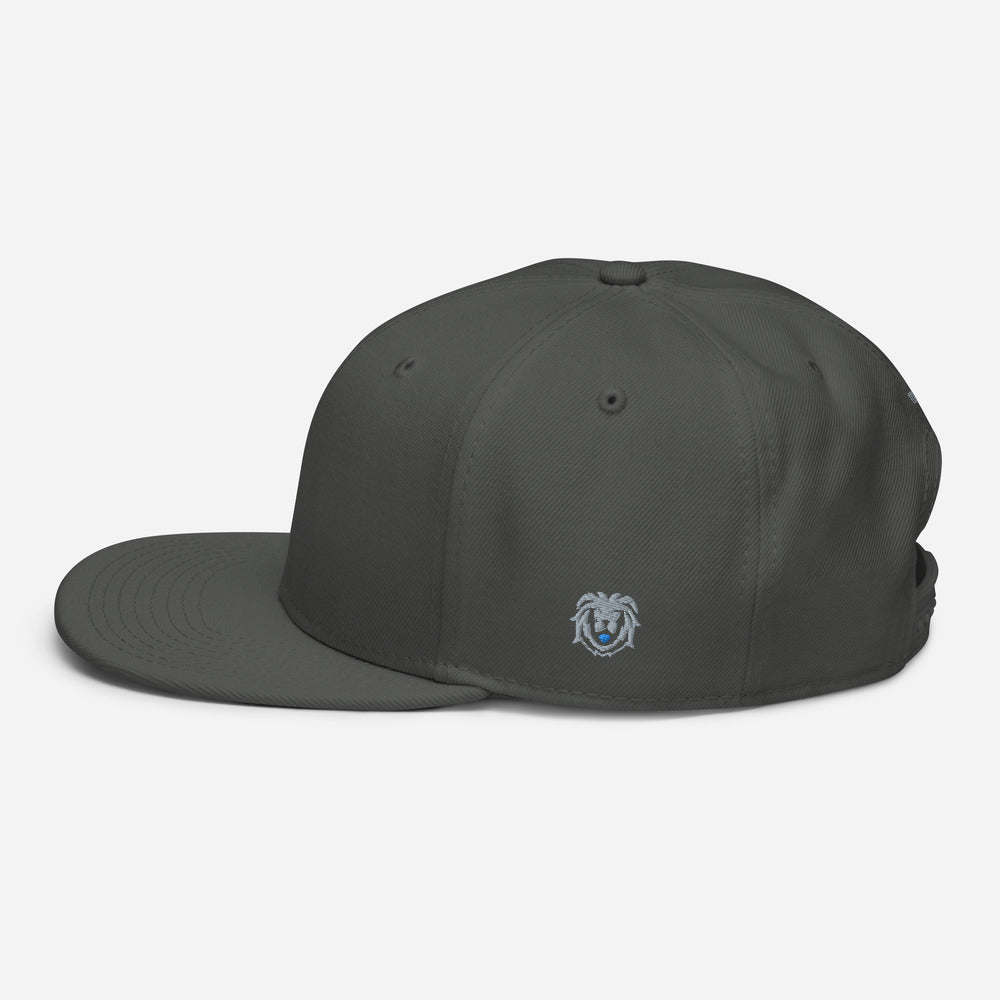 Hat - Modern Snapback