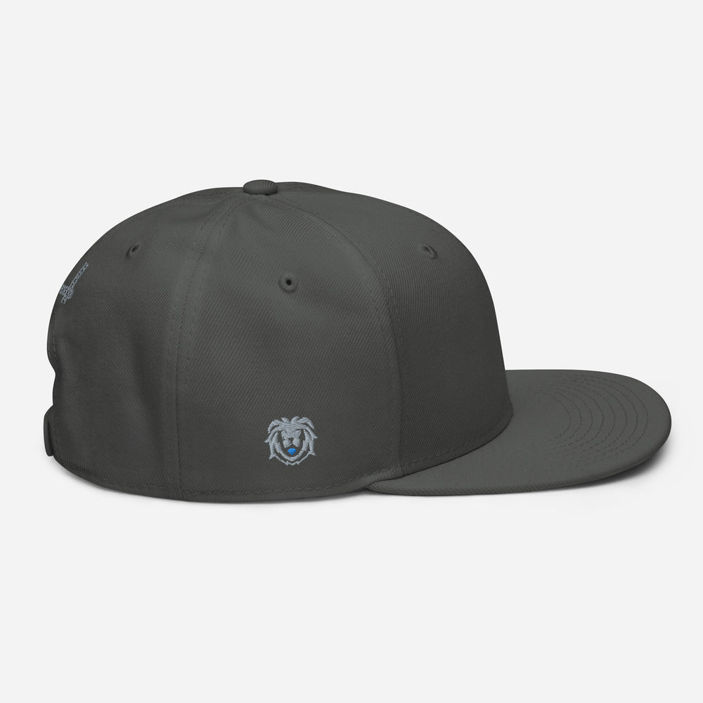 Hat - Modern Snapback