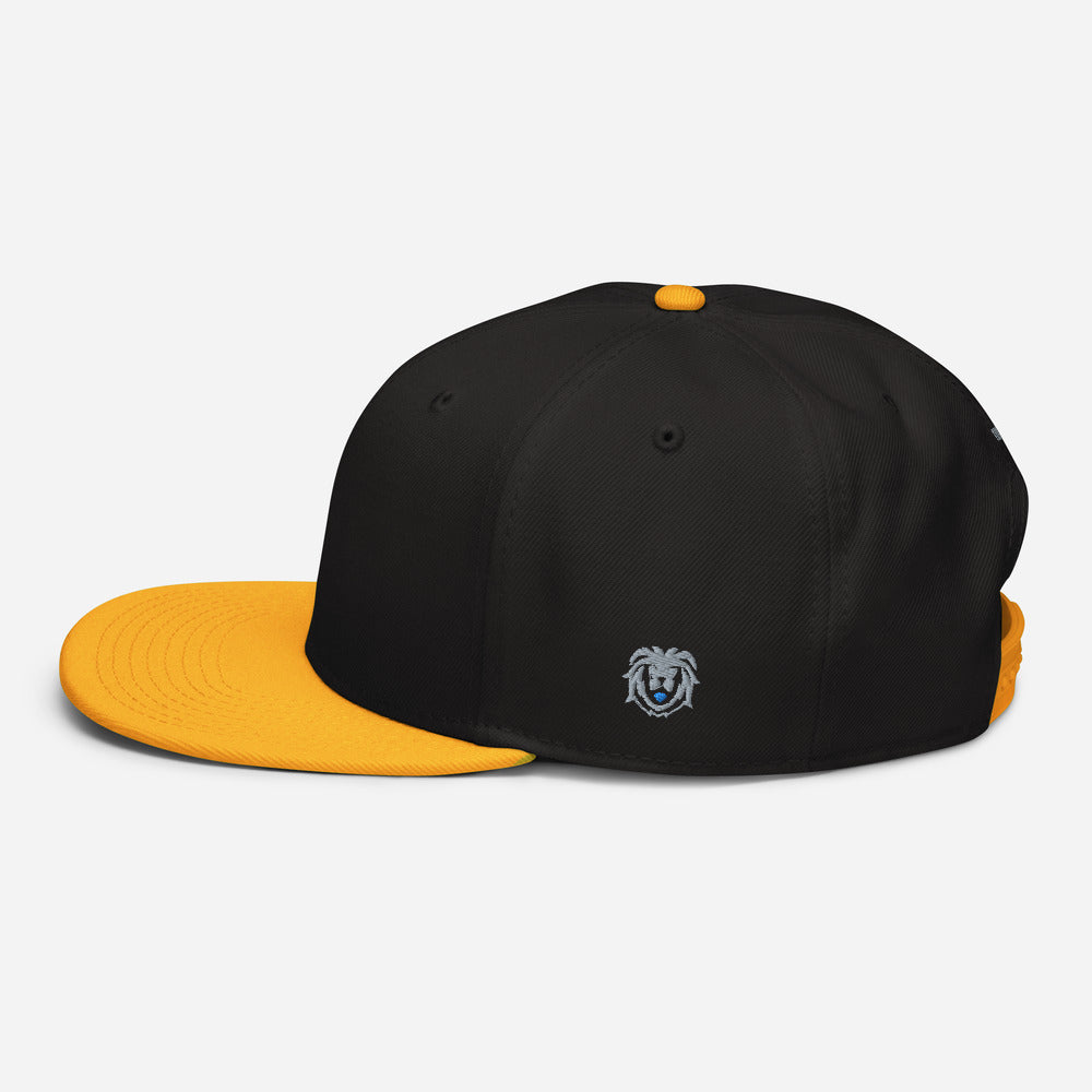 Hat - Modern Snapback