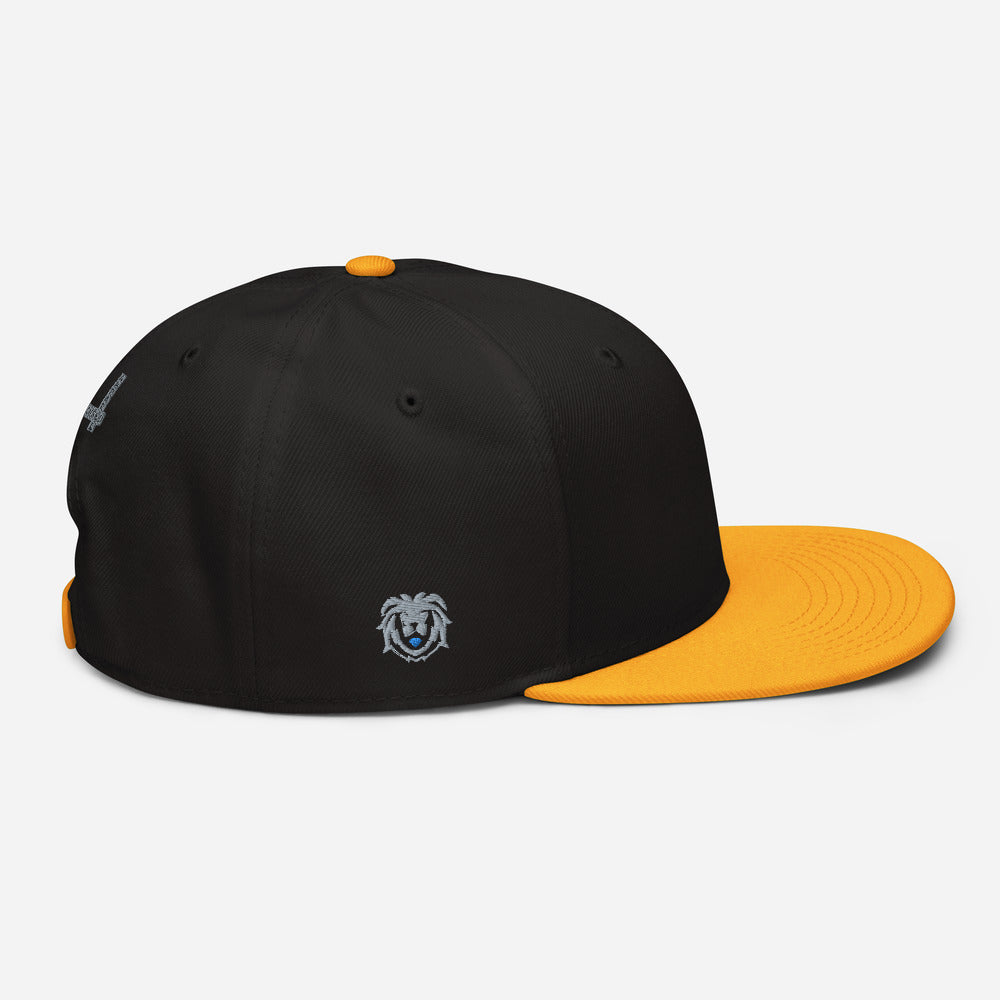 Hat - Modern Snapback