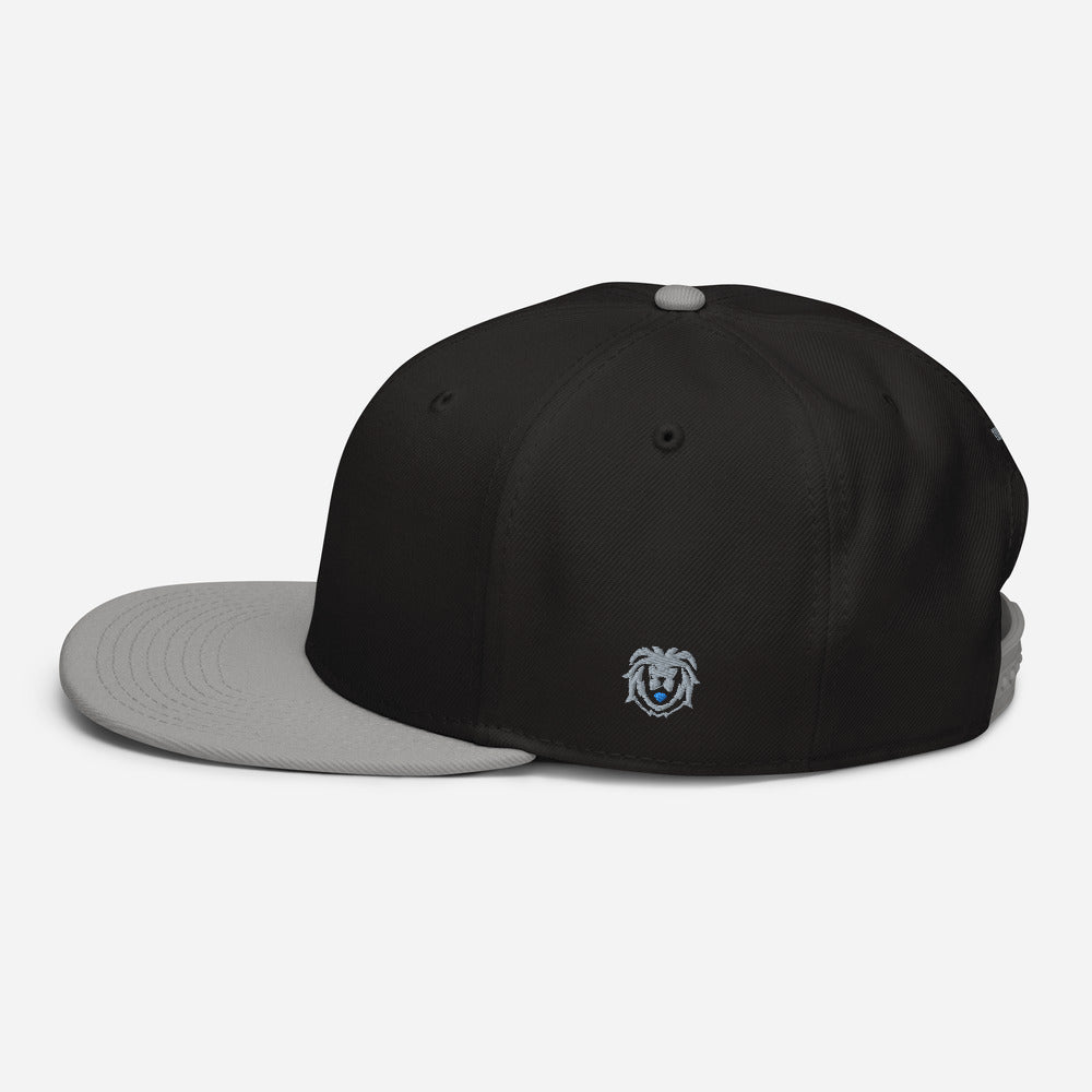 Hat - Modern Snapback