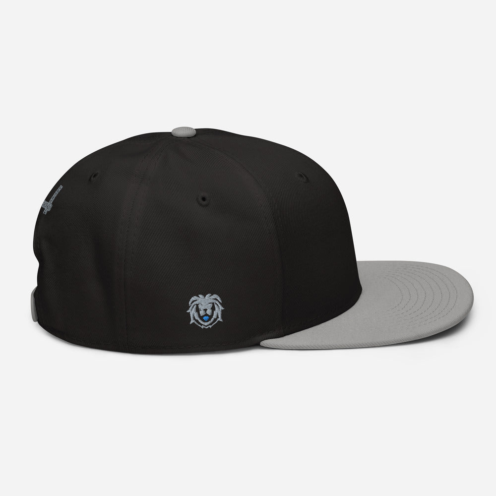 Hat - Modern Snapback