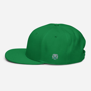 Hat - Modern Snapback