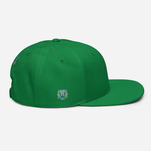 Hat - Modern Snapback