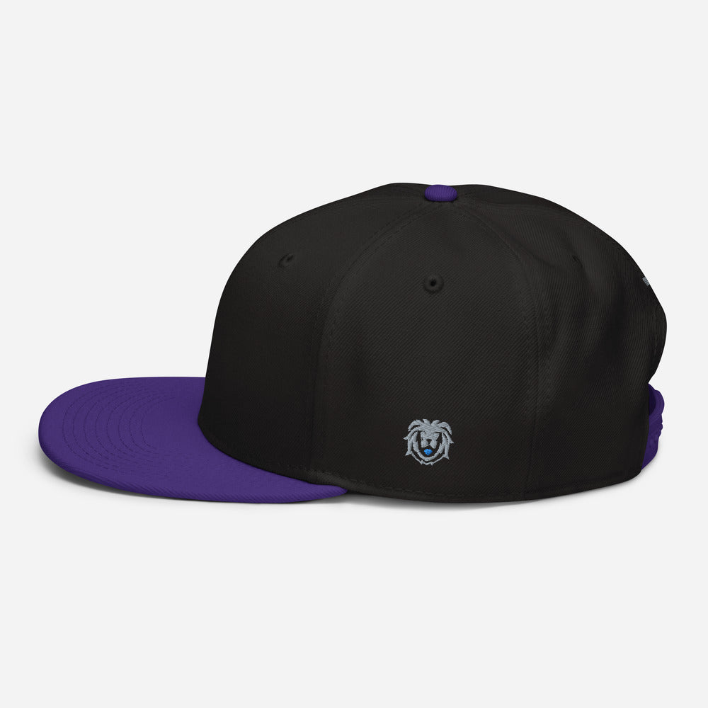 Hat - Modern Snapback