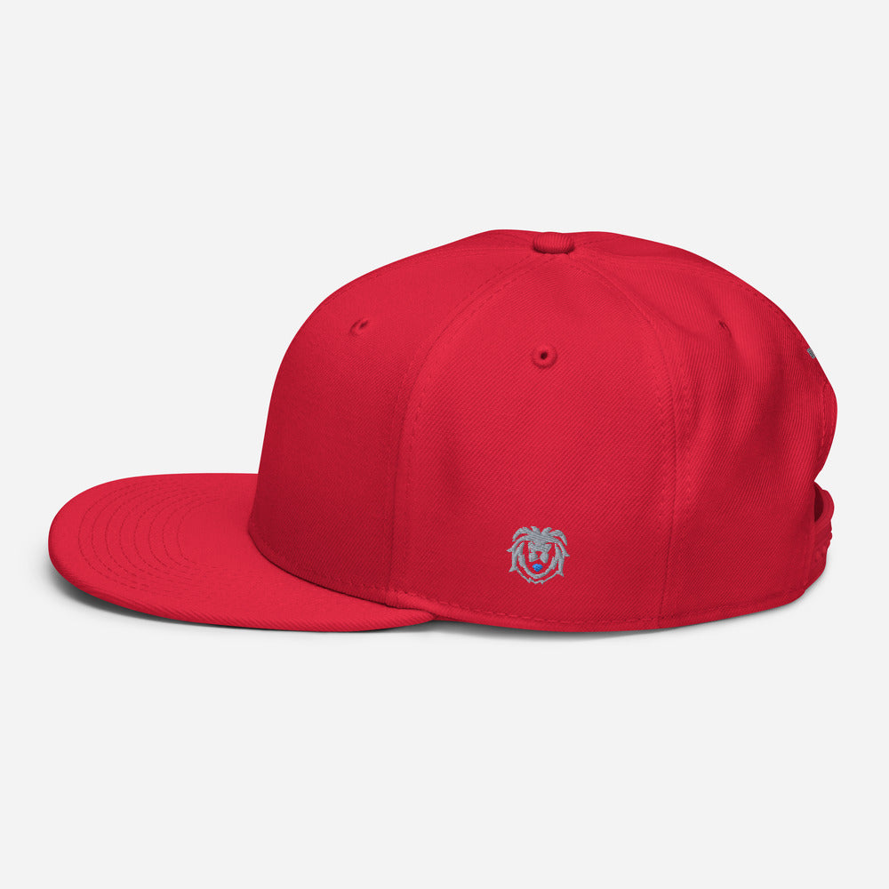 Hat - Modern Snapback