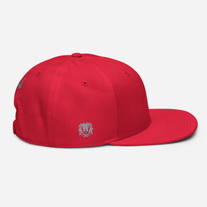 Hat - Modern Snapback