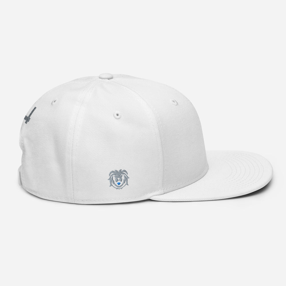 Hat - Modern Snapback